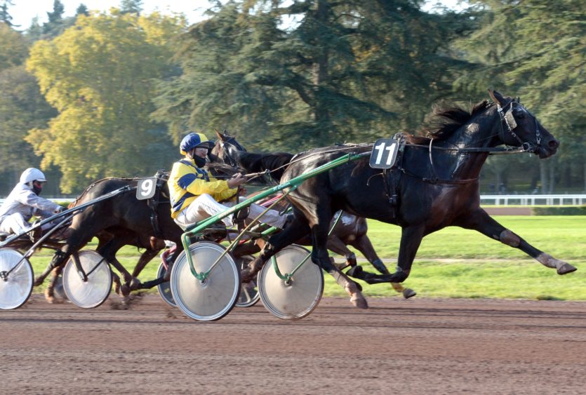 Ouverture Du Meeting D Automne Les Hippodromes De Lyon