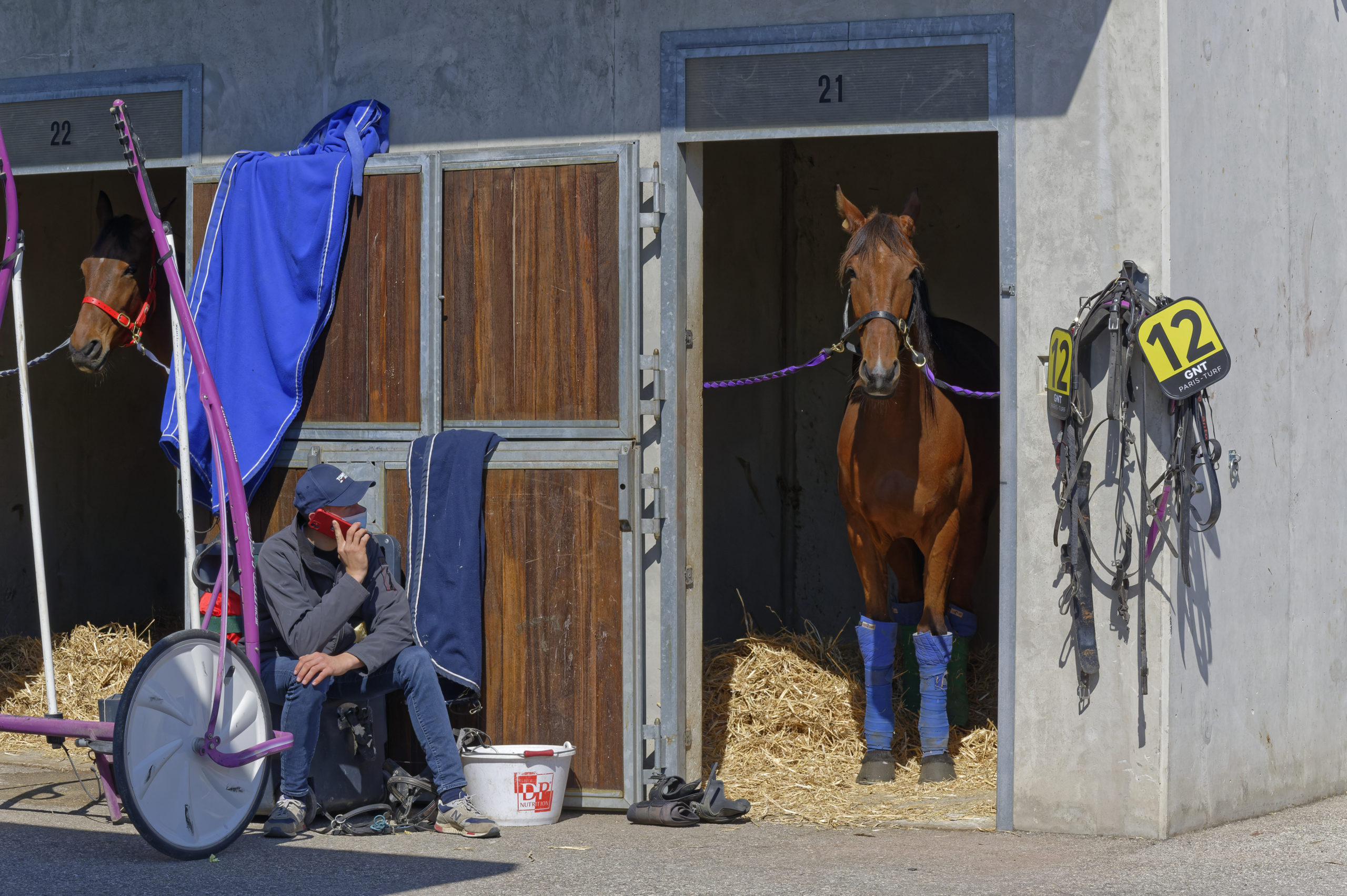 Ouverture Du Meeting D Automne Les Hippodromes De Lyon